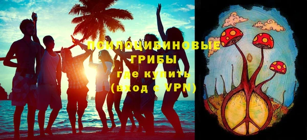 спиды Алексеевка