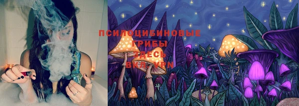 мяу мяу мука Нязепетровск